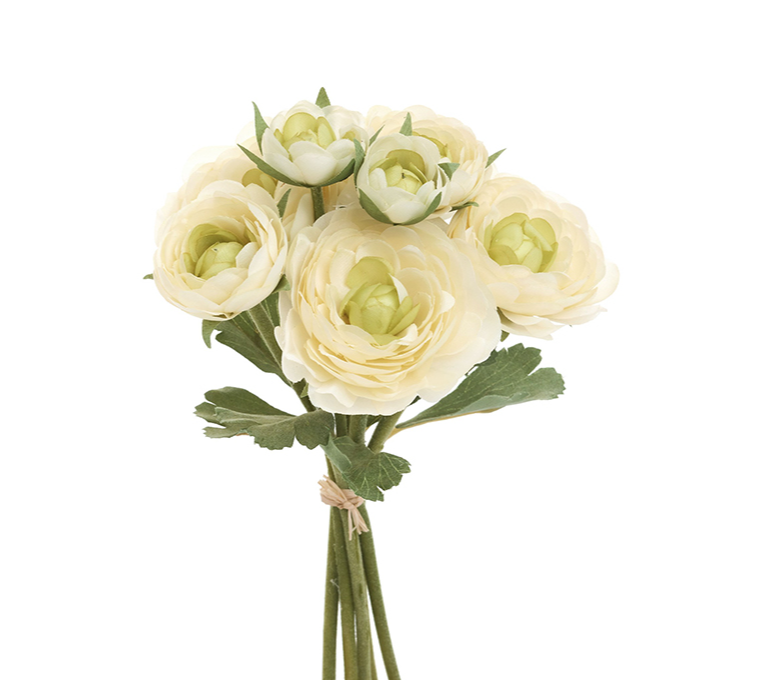 RANUNCULUS 
